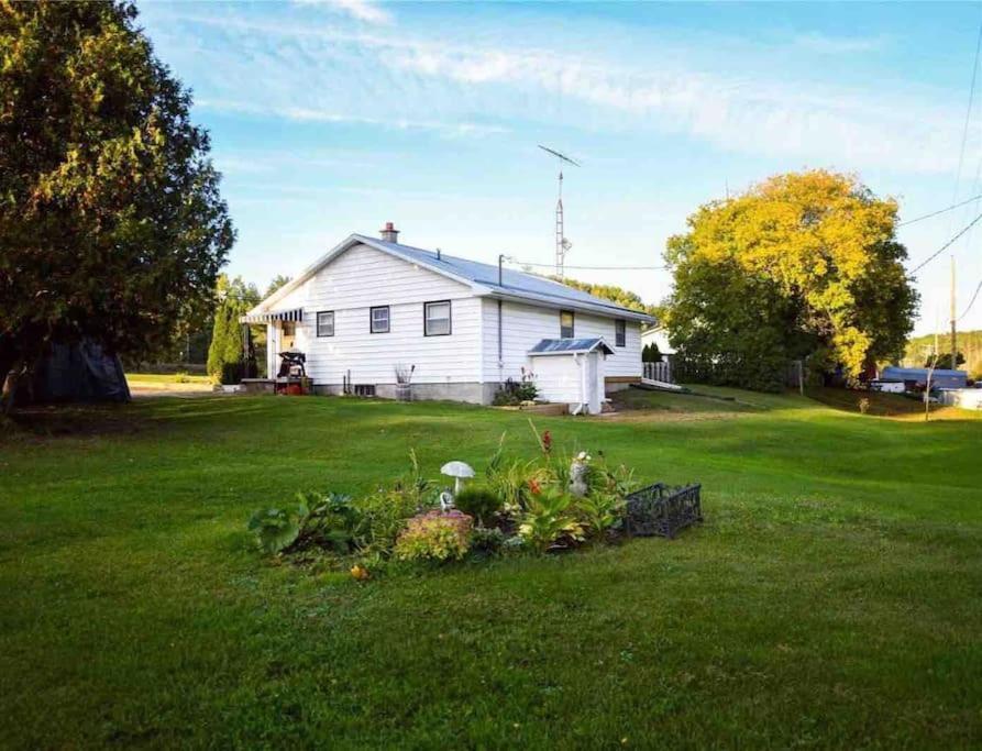 Private Cottage With Huge Private Dog Park! Barrys Bay Exterior foto