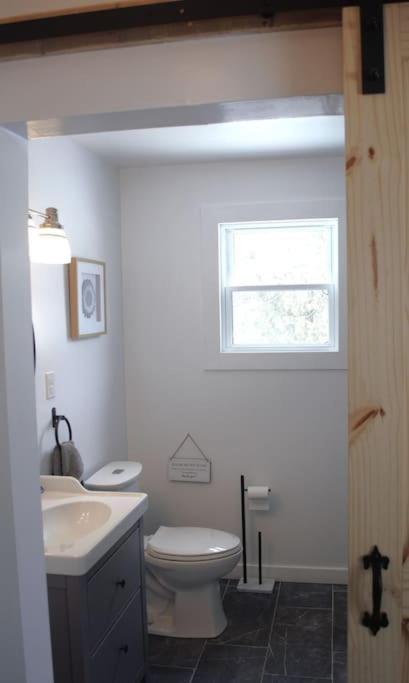 Private Cottage With Huge Private Dog Park! Barrys Bay Exterior foto